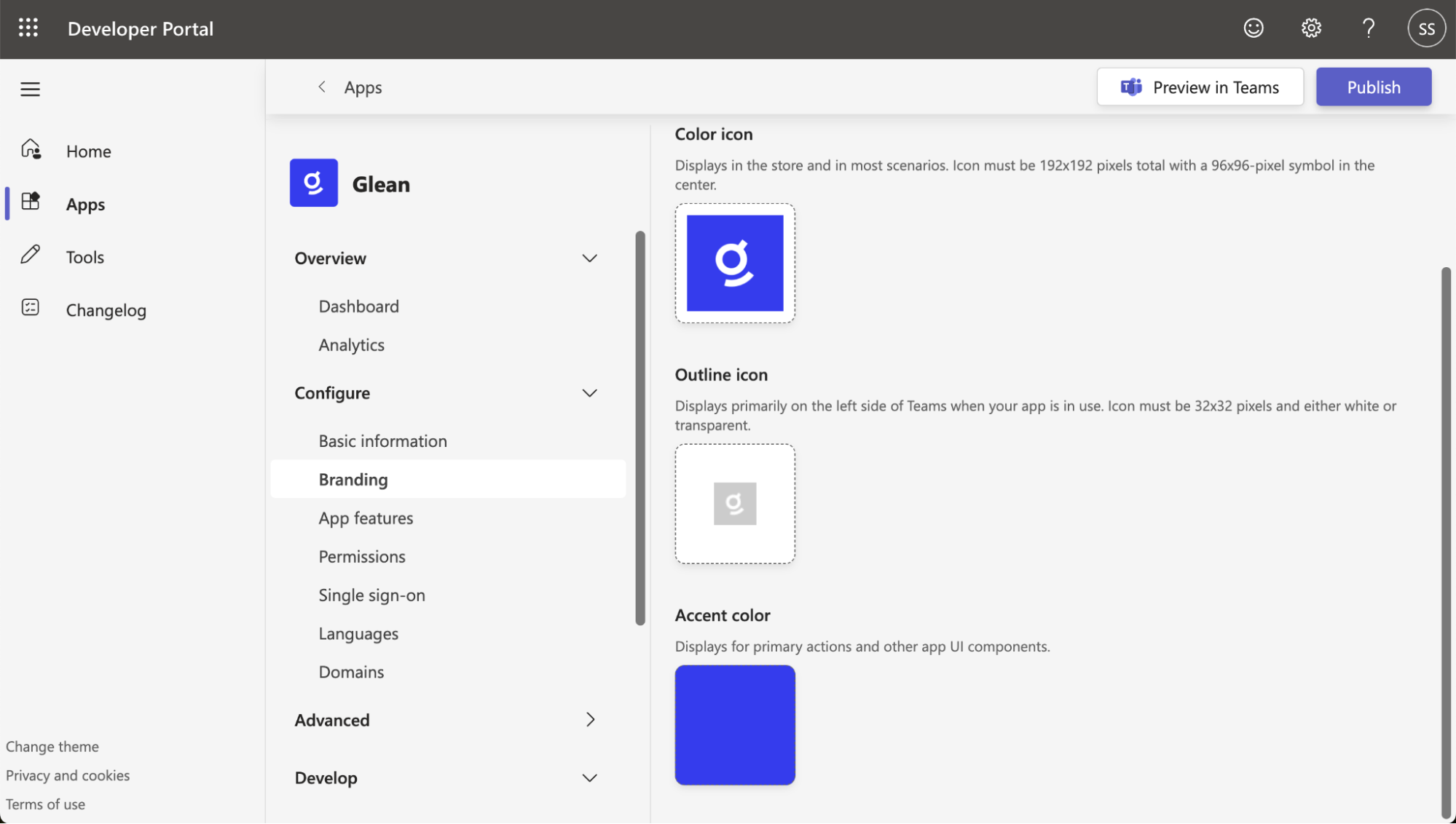 Teams Developer Portal — Branding page