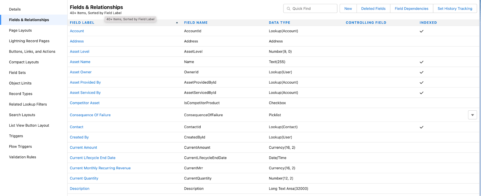 Salesforce Field Name
