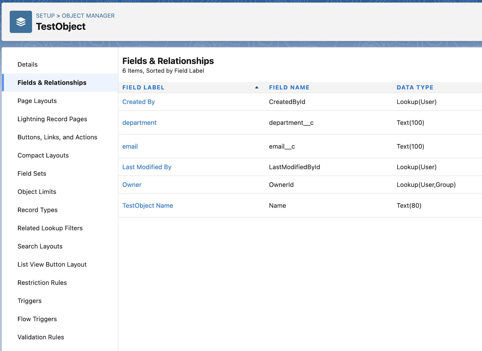 Salesforce Custom Object Field Names